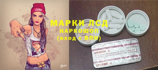 амф Верея