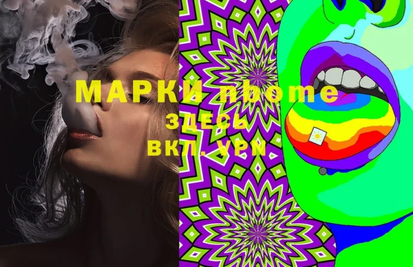 амф Верея