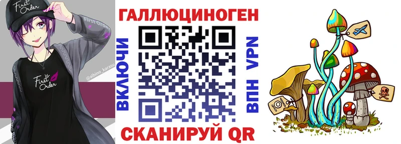 Галлюциногенные грибы Psilocybe  кракен ссылки  Нерюнгри 