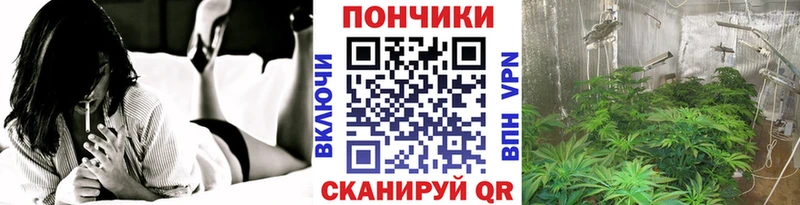 МАРИХУАНА планчик  купить наркотики сайты  Нерюнгри 